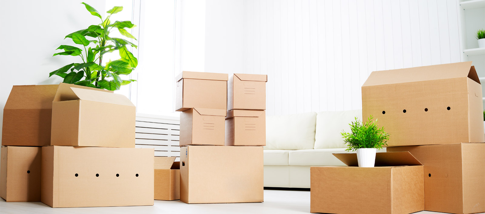 Packers & Movers in Vijayawada